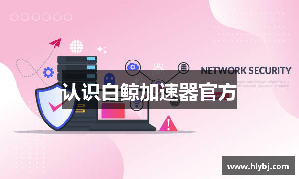 认识白鲸加速器官方